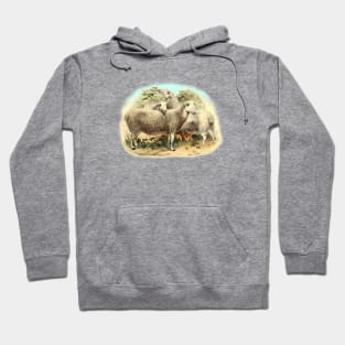 Sheep Cute Animal Illustration Hoodie